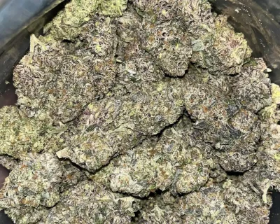 CELESTIAL GELATO LSO (LIMITED SALE) - Image 5